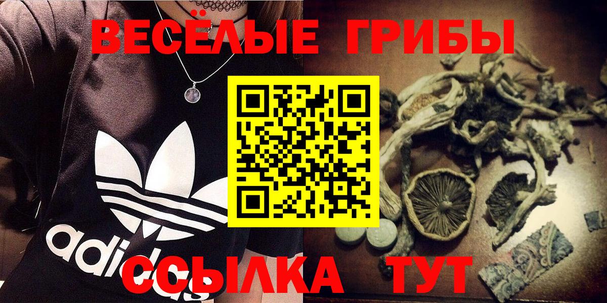 Малгобек  Галлюциногенные грибы ЛСД  Вход с VPN 